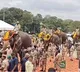 Names of Kumki elephants coming from Karnataka to Hyderabad
