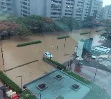 PC Mohan Asks IT Companies for Work From Home Due to Bangalore Rains