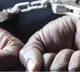 Budumuru Nagaraju Arrested for Extortion as Telangana CM OSD