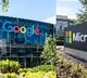 Layoffs Again at Microsoft and Google... Thousands of Jobs Cut!