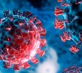 Andhra Pradesh on Alert as COVID-19 Cases Rise Again