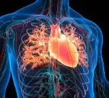 How Poor Sleep Can Trigger Serious Cardiovascular Changes