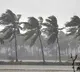 Southwest Monsoon Touches Kerala Eight Days Early IMD