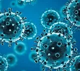COVID 19 Alert in Delhi Andhra Pradesh Due to New Variants