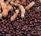 Ancient Remedy: The Hidden Power of Roasted Tamarind Seeds