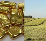 Gold vs. Land: Which Is the Better Investment in 2025?