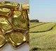 Gold vs. Land: Which Is the Better Investment in 2025?