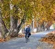 Daylight can boost immune systems ability to ward off infections Study