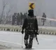 CRPF Jawan Arrested for Spying for Pakistan