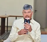 Chandrababu Naidu AP a Key Player in Solar Power Generation