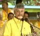 I Bow My Head and Salute Party Workers, Says Chandrababu
