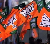 BJP Delhi Elections Spending Revealed