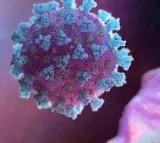 Highly Infectious New COVID Variant From China Detected In US