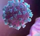 Highly Infectious New COVID Variant From China Detected In US
