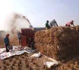 Narendra Modi Government Hikes MSP for Kharif Crops