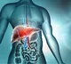 How Diabetes Affects Liver Health: Key Warning Signs