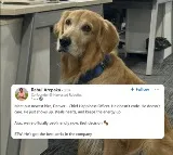 Hyderabad Startup Appoints Dog as Chief Happiness Officer
