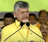 Chandrababu Naidu Warns Against Covert Operations in TDP