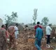 Punjab Firecracker Factory Explosion Kills Five