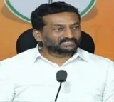 Raghunandan Rao Says BJP Does Not Need BRS Alliance