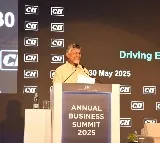 Chandrababu Naidu Receives Standing Ovation at CII in Delhi