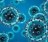 Coronavirus Cases Rise in India Experts Say No Need to Worry