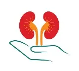 Kidney Cleanse Top 5 Foods for Healthy Kidneys