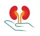 Kidney Cleanse Top 5 Foods for Healthy Kidneys