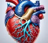 Understanding Different Types of Heart Tests and Their Significance
