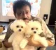 Ram Gopal puts out tweet against threats to ban 'Thug Life'; Deletes it later!