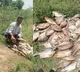 Banoth Krishna Fish Pond Poisoned in Suryapet Telangana