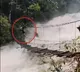 Kiren Rijiju Shares Video of Man Crossing Flooded River in Arunachal Pradesh