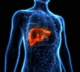 Liver Cancer Early Detection Symptoms and Signs