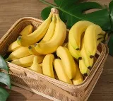 Can You Eat Banana to Lose Weight