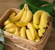 Can You Eat Banana to Lose Weight