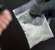 Chinese nationals accused of smuggling agroterrorism pathogen into US