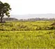 Tension in Telangana village as protest against ethanol plant turns violent