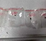 Fusarium graminearum smuggled into US by Chinese nationals