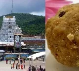 YV Subba Reddy PA Appanna Questioned in Tirumala Adulterated Ghee Case