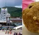 YV Subba Reddy PA Appanna Questioned in Tirumala Adulterated Ghee Case
