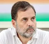 Rahul slams Bihar CM Nitish Kumar over rising incidents of crime