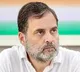 Rahul slams Bihar CM Nitish Kumar over rising incidents of crime