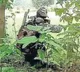 Chhattisgarh: Hardcore Maoist Sudhakar eliminated in gunfight with security forces