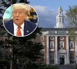 Donald Trump Bans Foreign Students from Harvard University