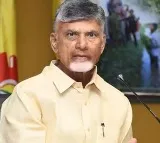 CM Chandrababu Urges Environmental Protection on World Environment Day