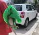 Two Foot Long Monitor Lizard Emerges From Toilet In Rajasthan