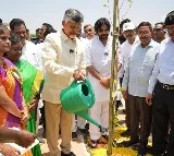 Chandrababu Naidu plants trees in Anantavaram Pawan Kalyan attends
