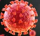 Study shows how Covid virus shields itself during replication