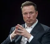 Elon Musk Donald Trump Feud Causes Tesla Stock Plunge