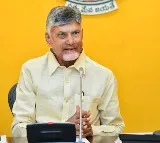 Chandrababu Naidu AP Electricity Reforms a Model for the Nation